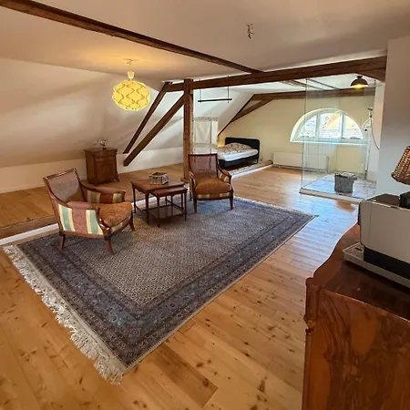 Apartment Dachstudio In Tierfreundlicher Hofreite *